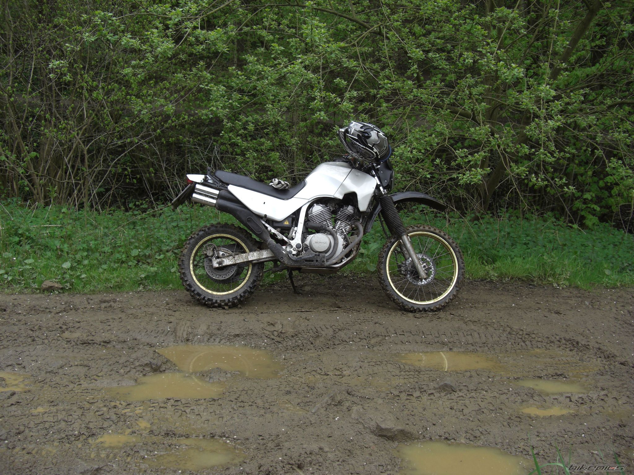 Photo 2170723