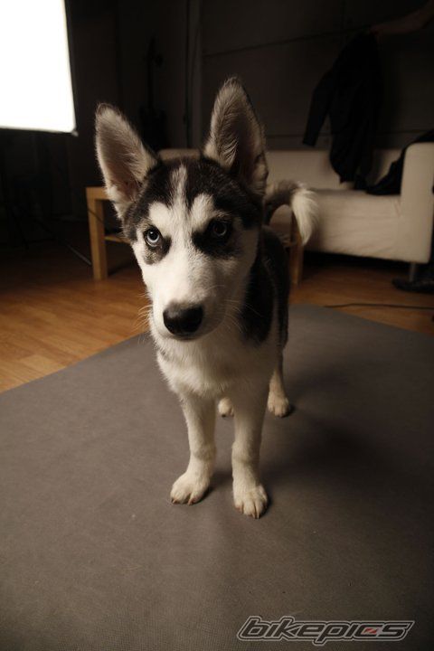 Photo 2170742