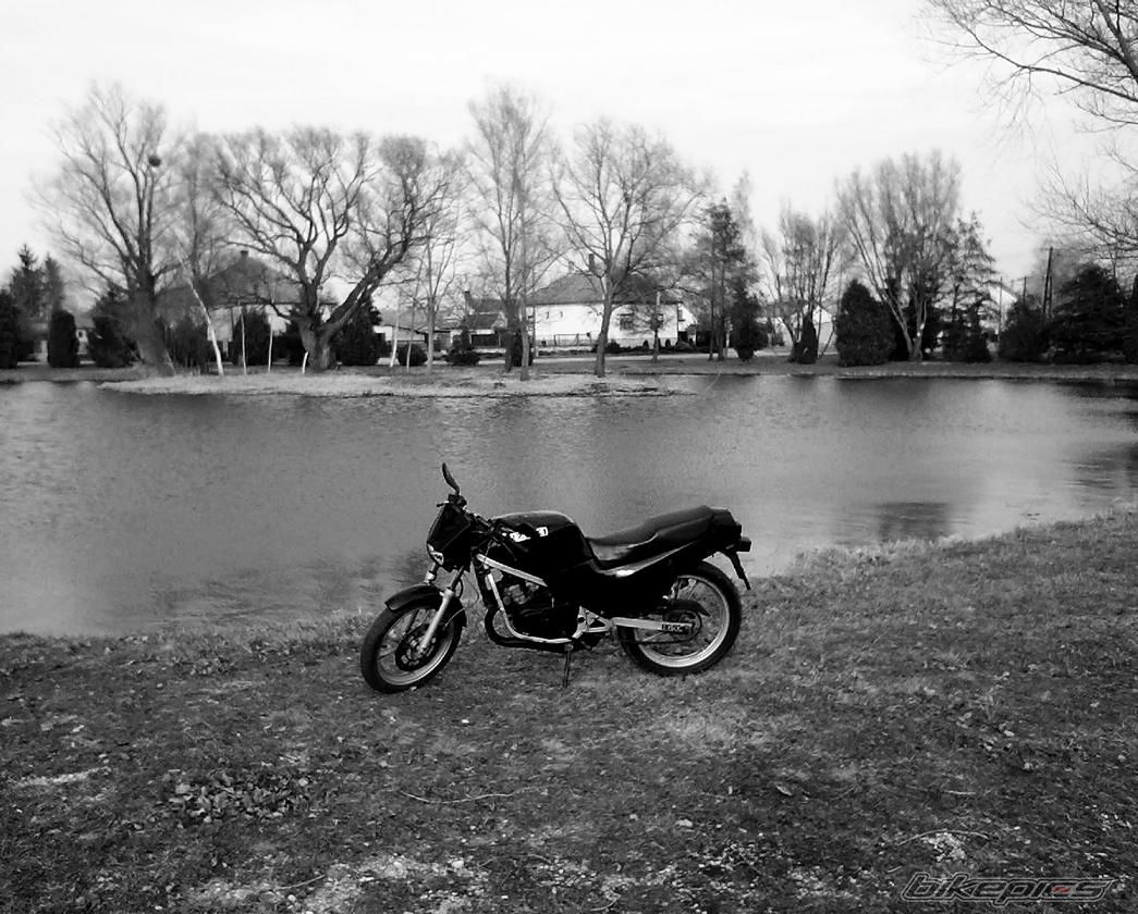 Photo 2170840