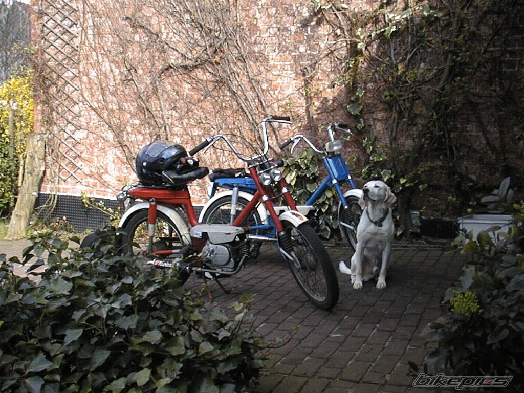 Photo 2170852