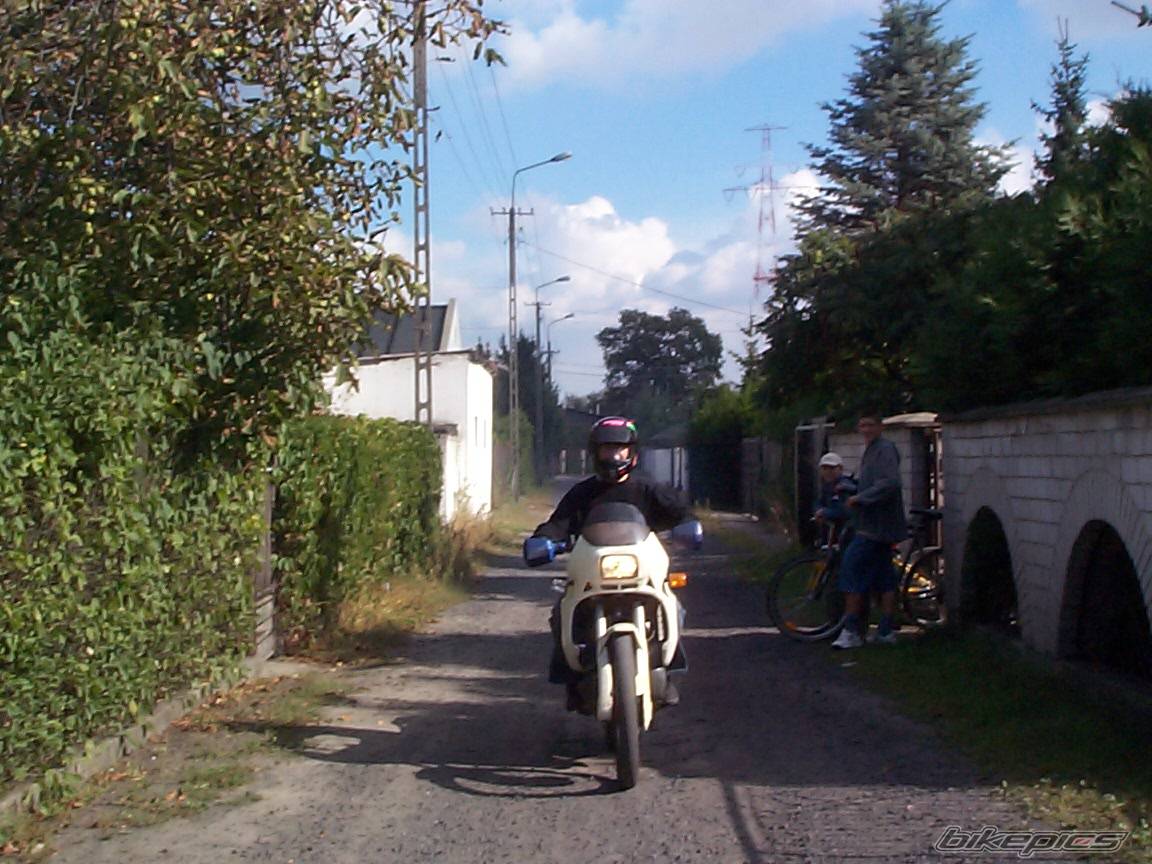 Photo 217116