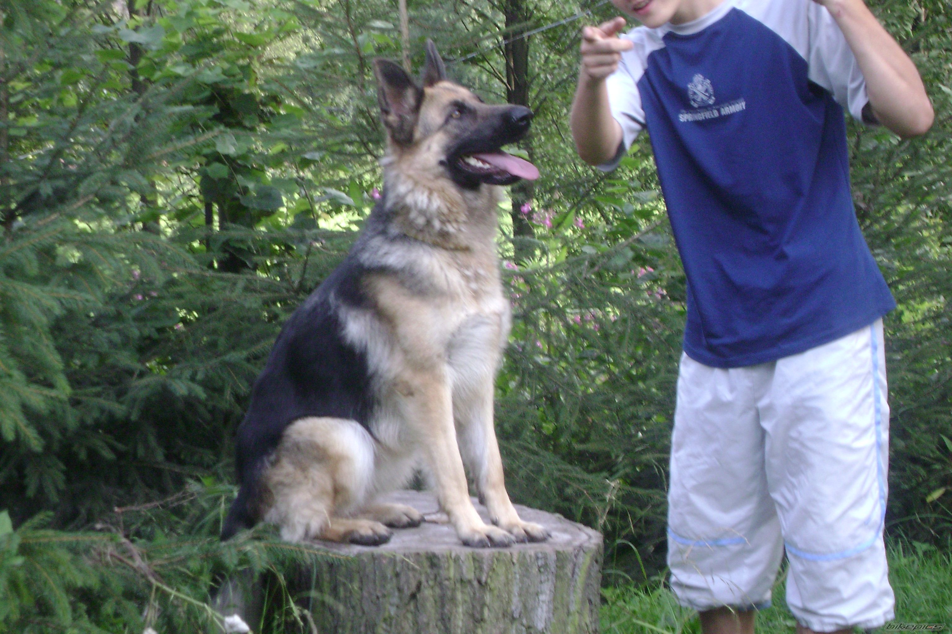 Photo 2171284