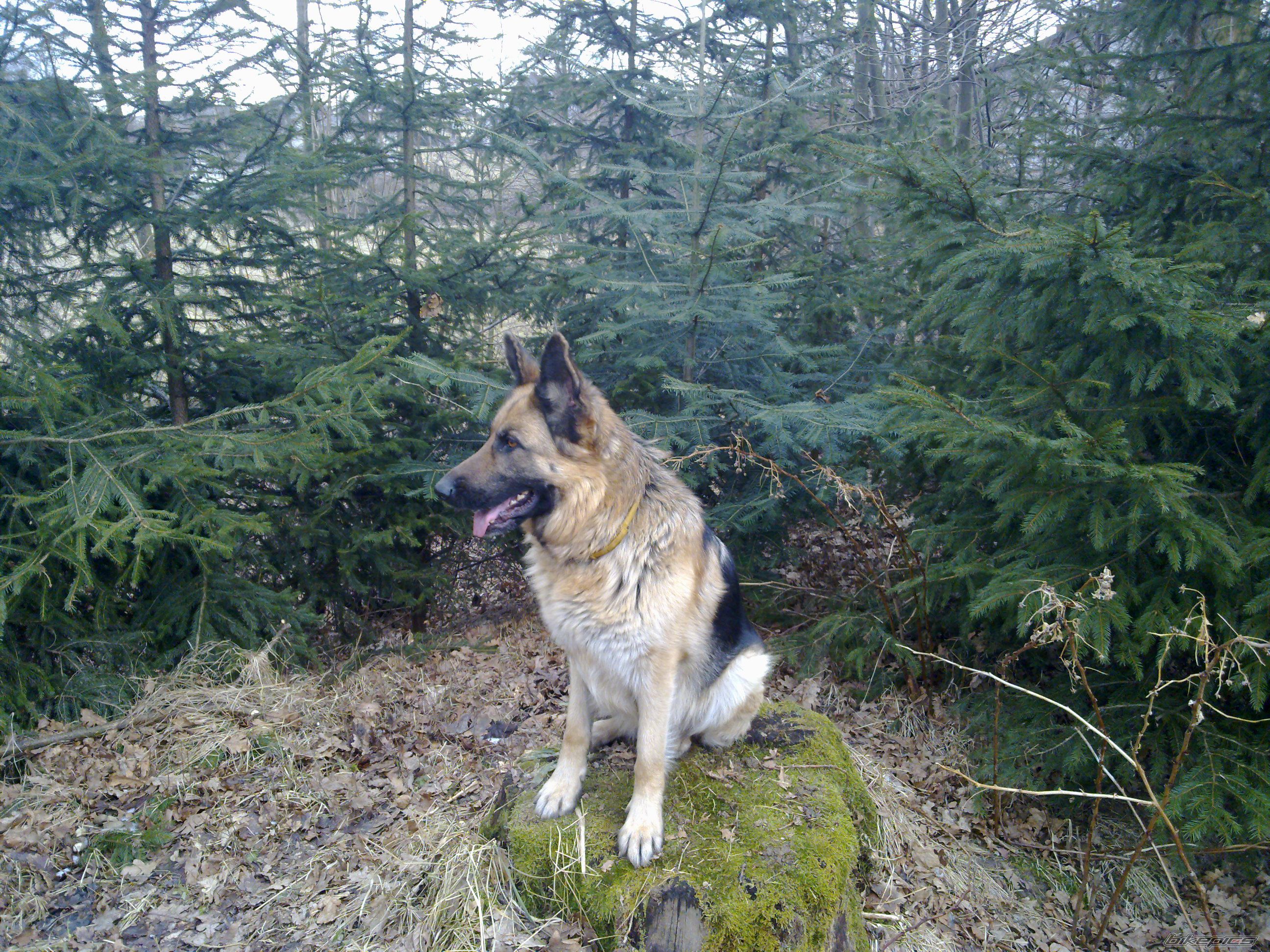 Photo 2171285