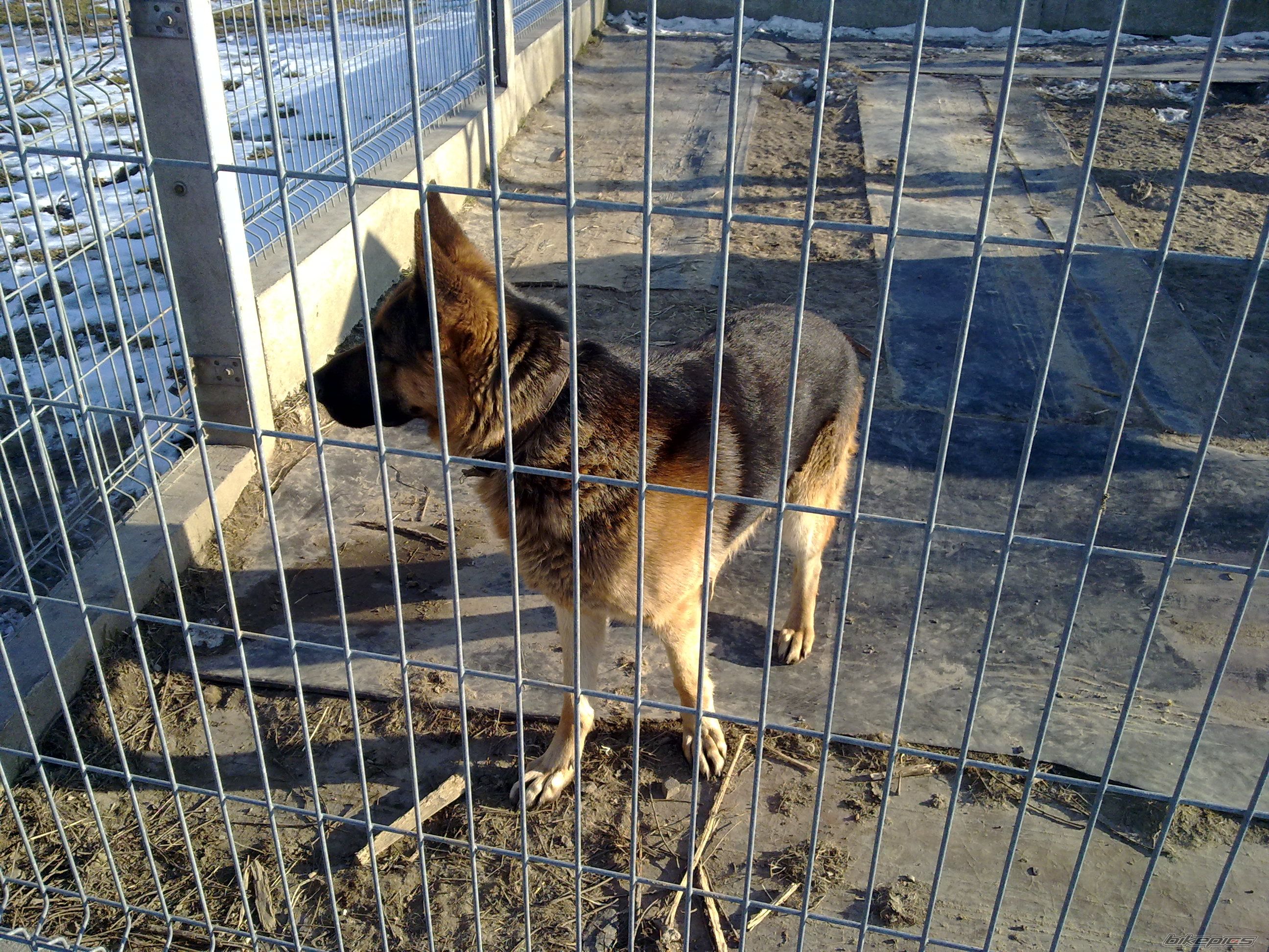 Photo 2171290