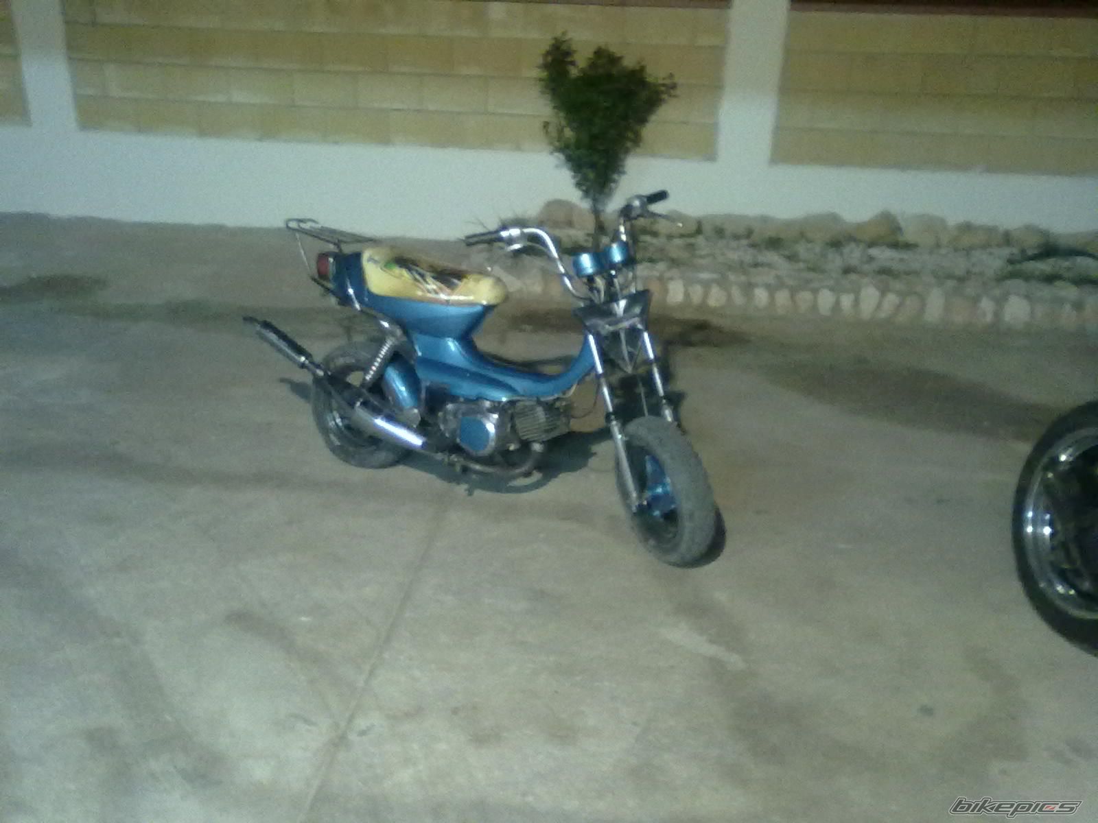 Photo 2171386