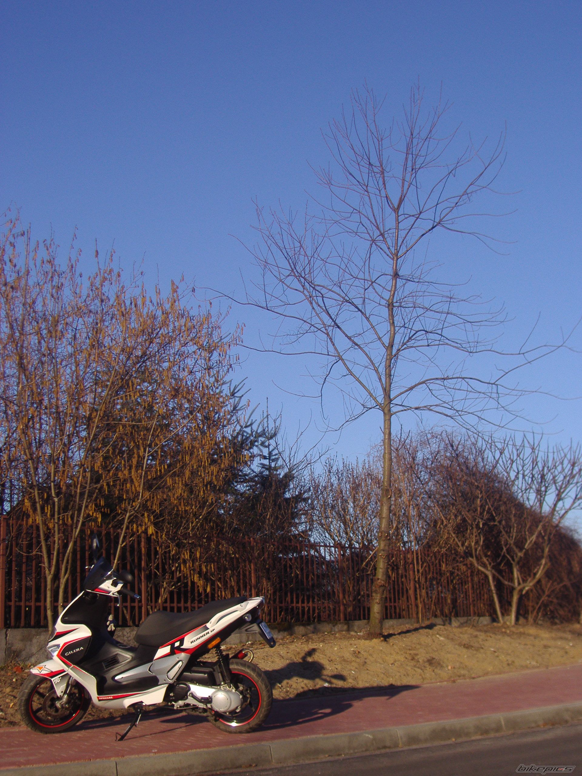 Photo 2171457
