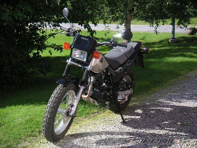 Photo 217152