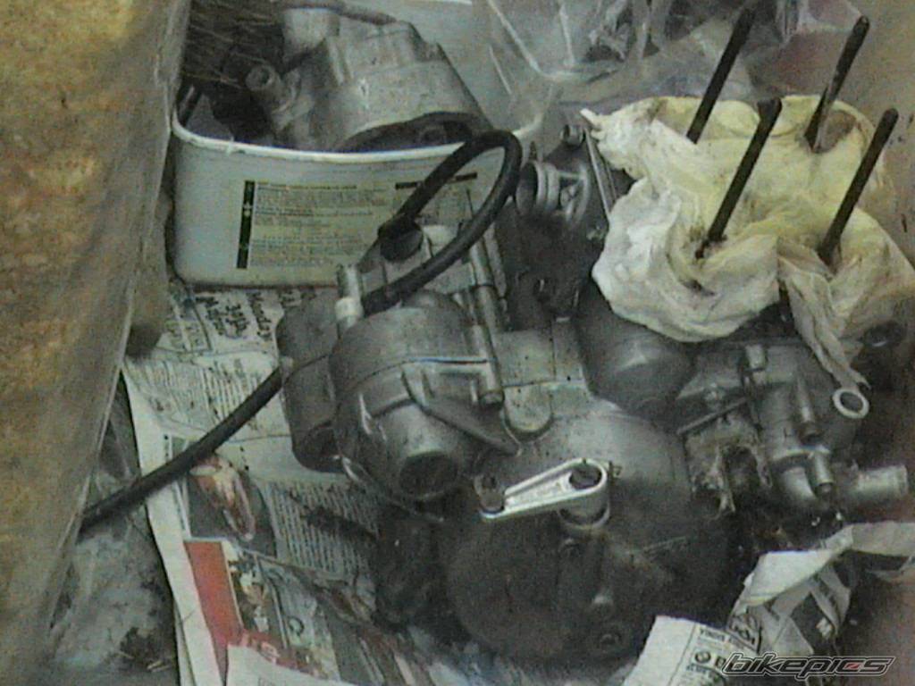 Photo 217163