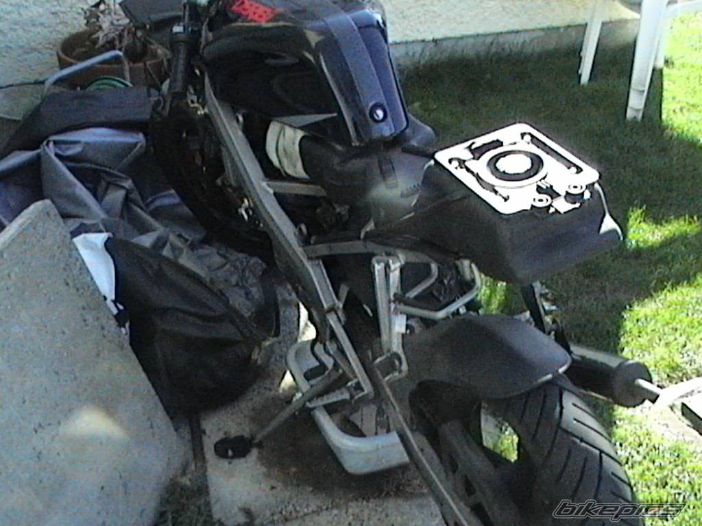 Photo 217167