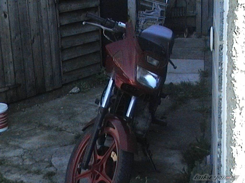 Photo 217179