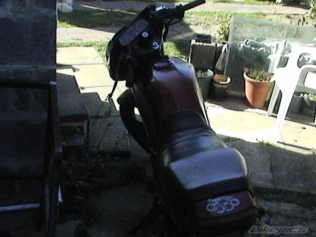 Photo 217181