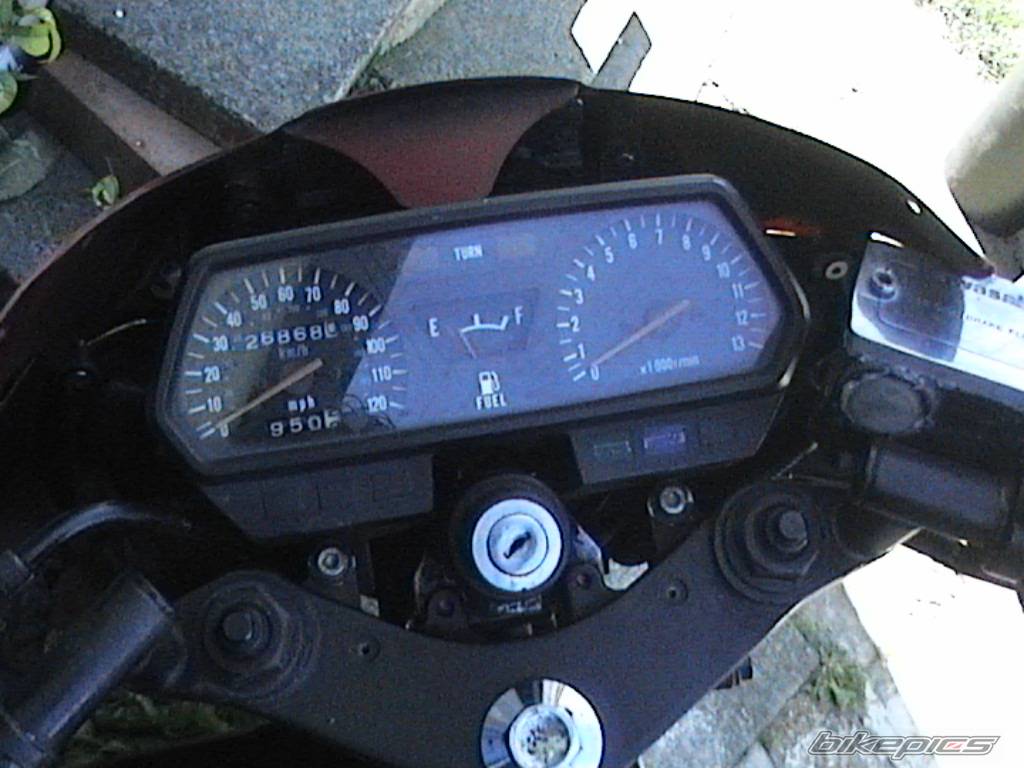 Photo 217187
