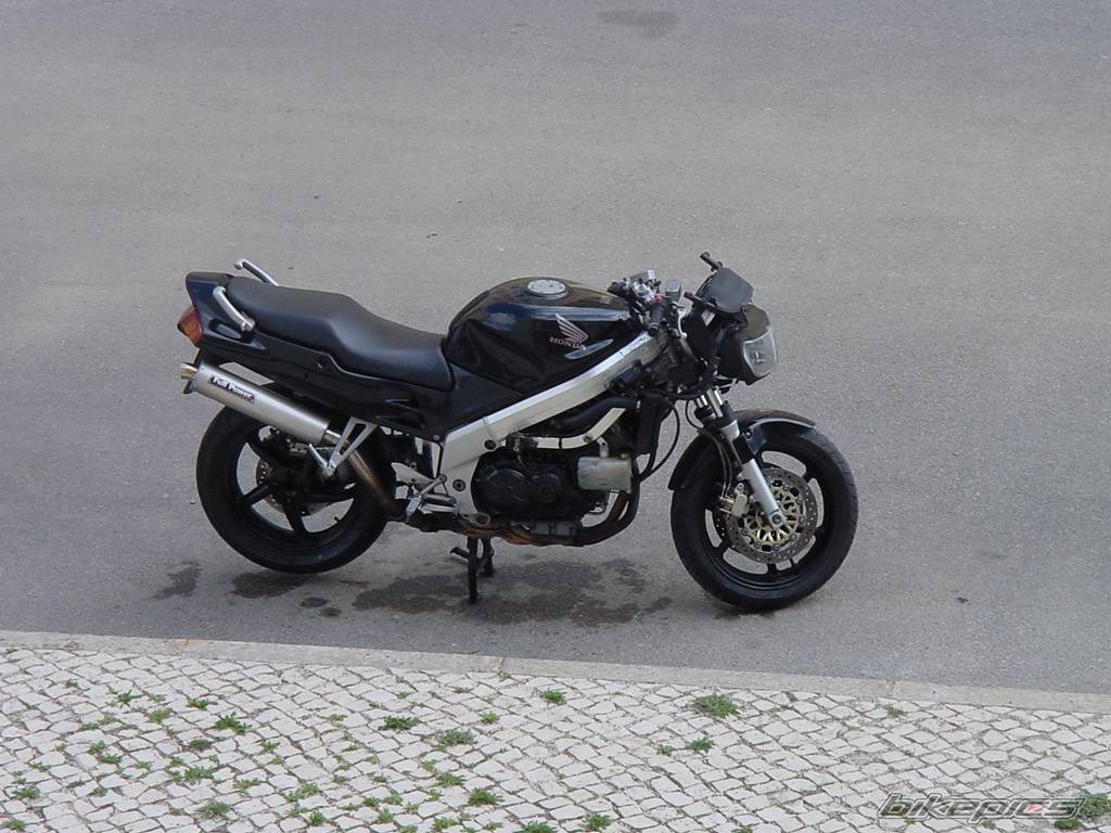 Photo 217190
