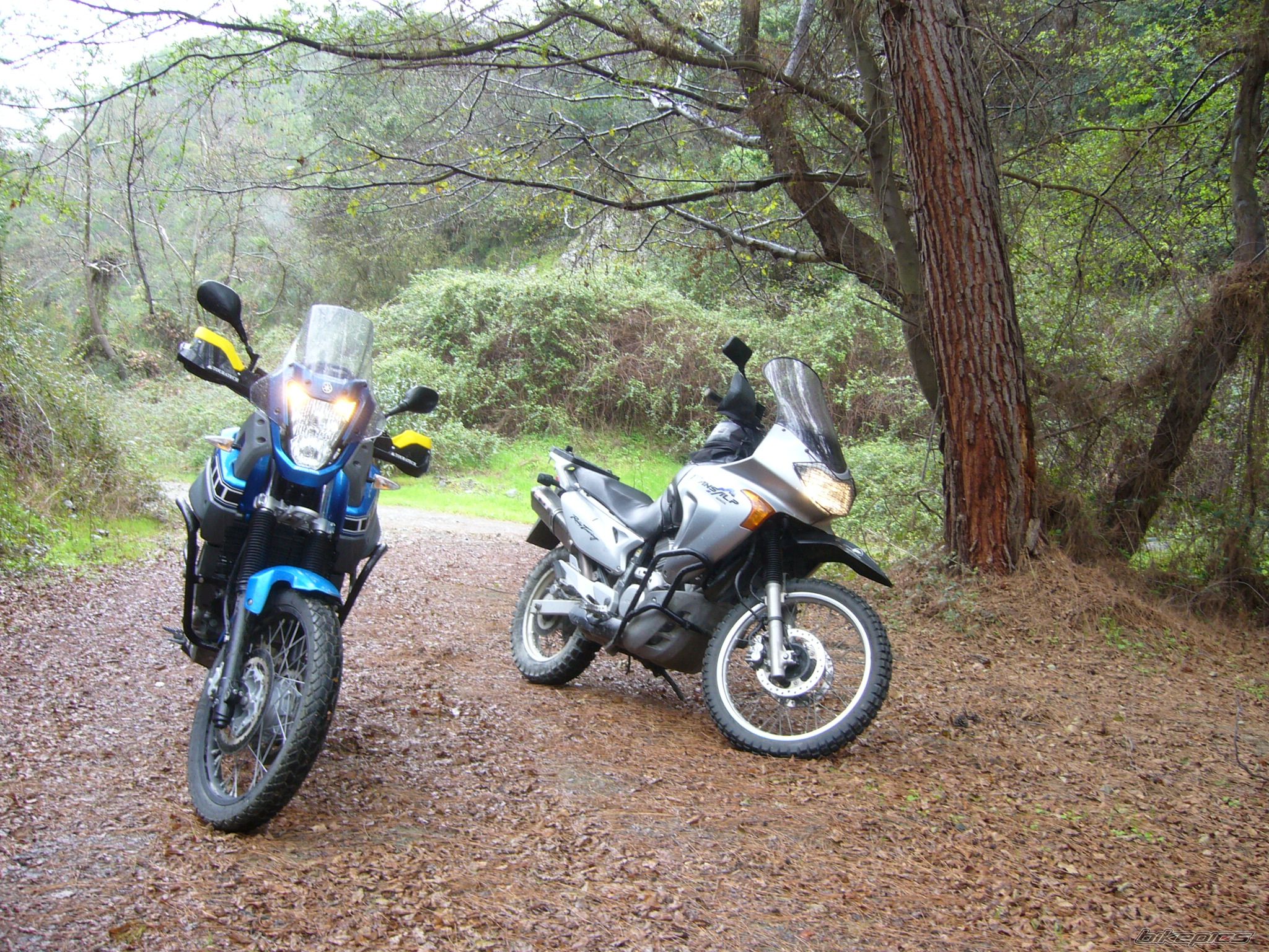 Bike Photo 2171980