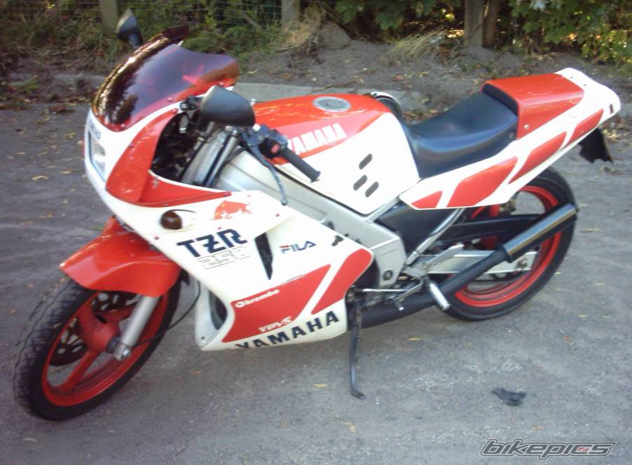 Photo 217204