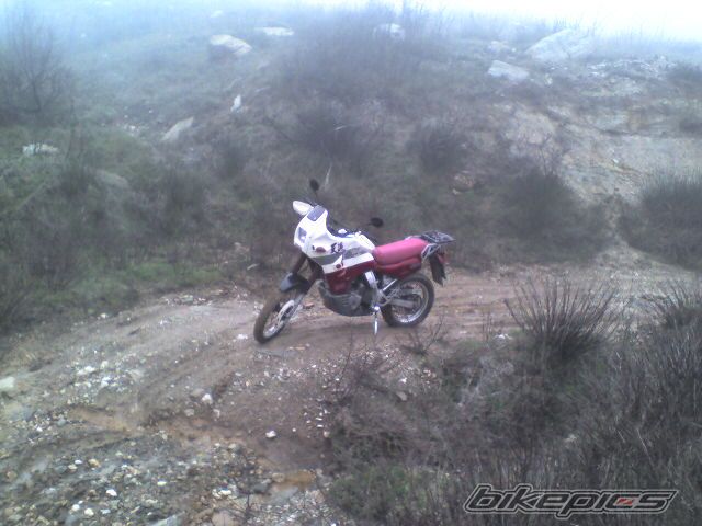 Bike Photo 2172059