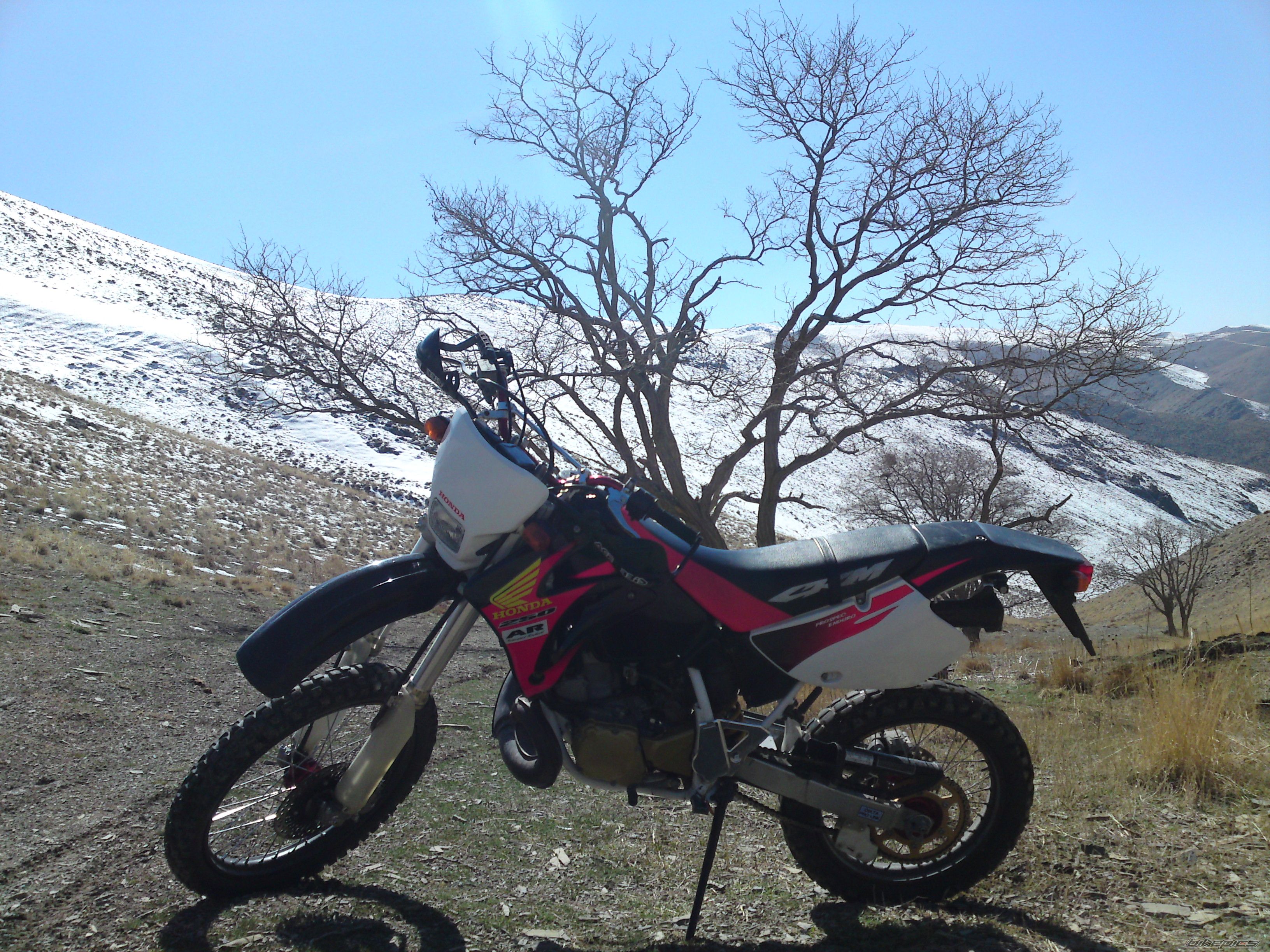 Photo 2172117