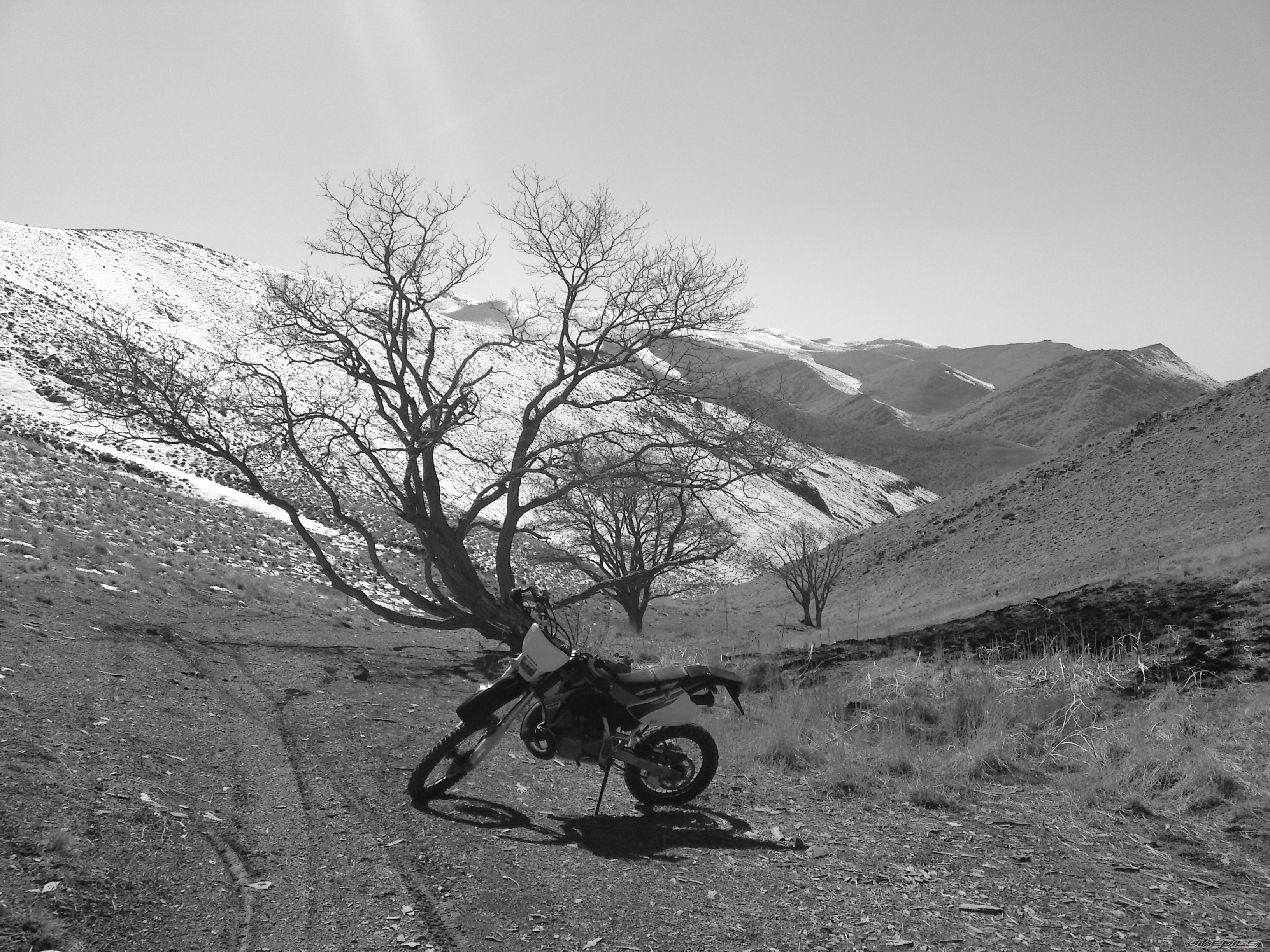 Photo 2172131