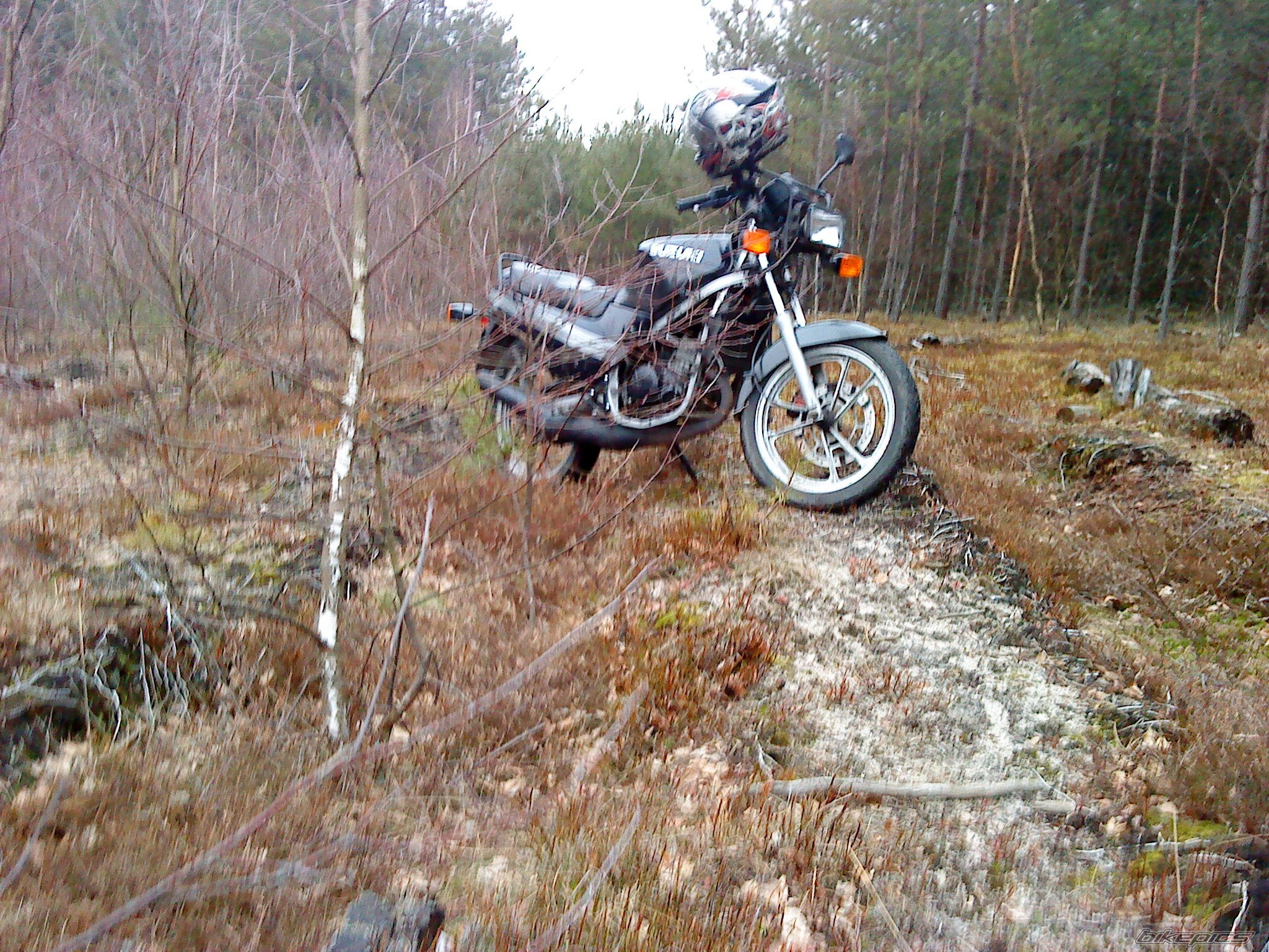 Photo 2172190