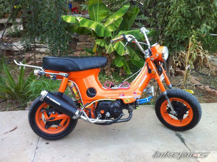 Photo 2172400