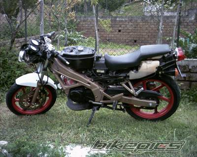 Photo 217246