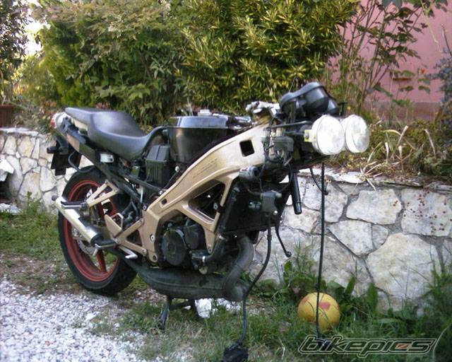 Photo 217252