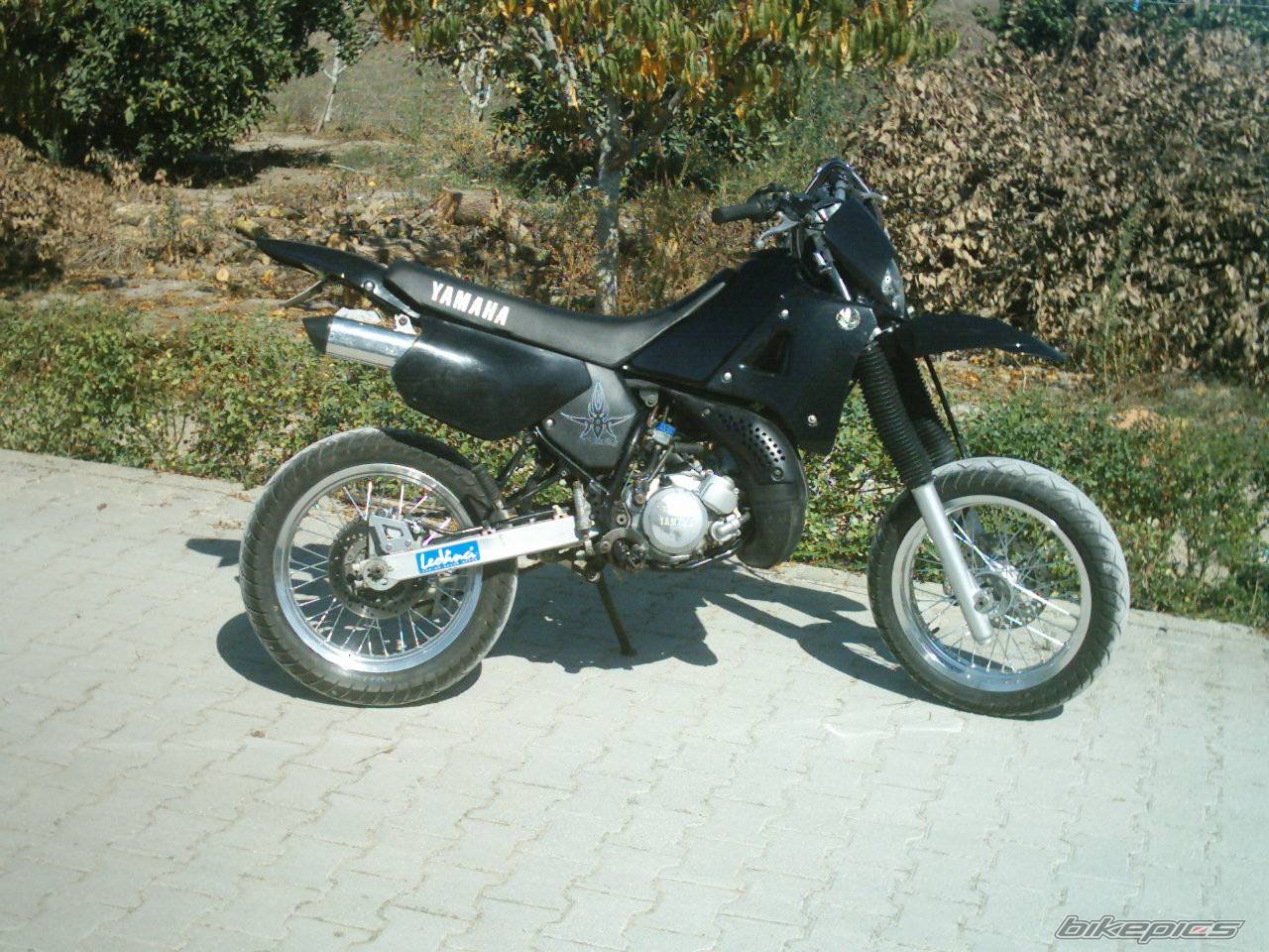 Bike Photo 217268