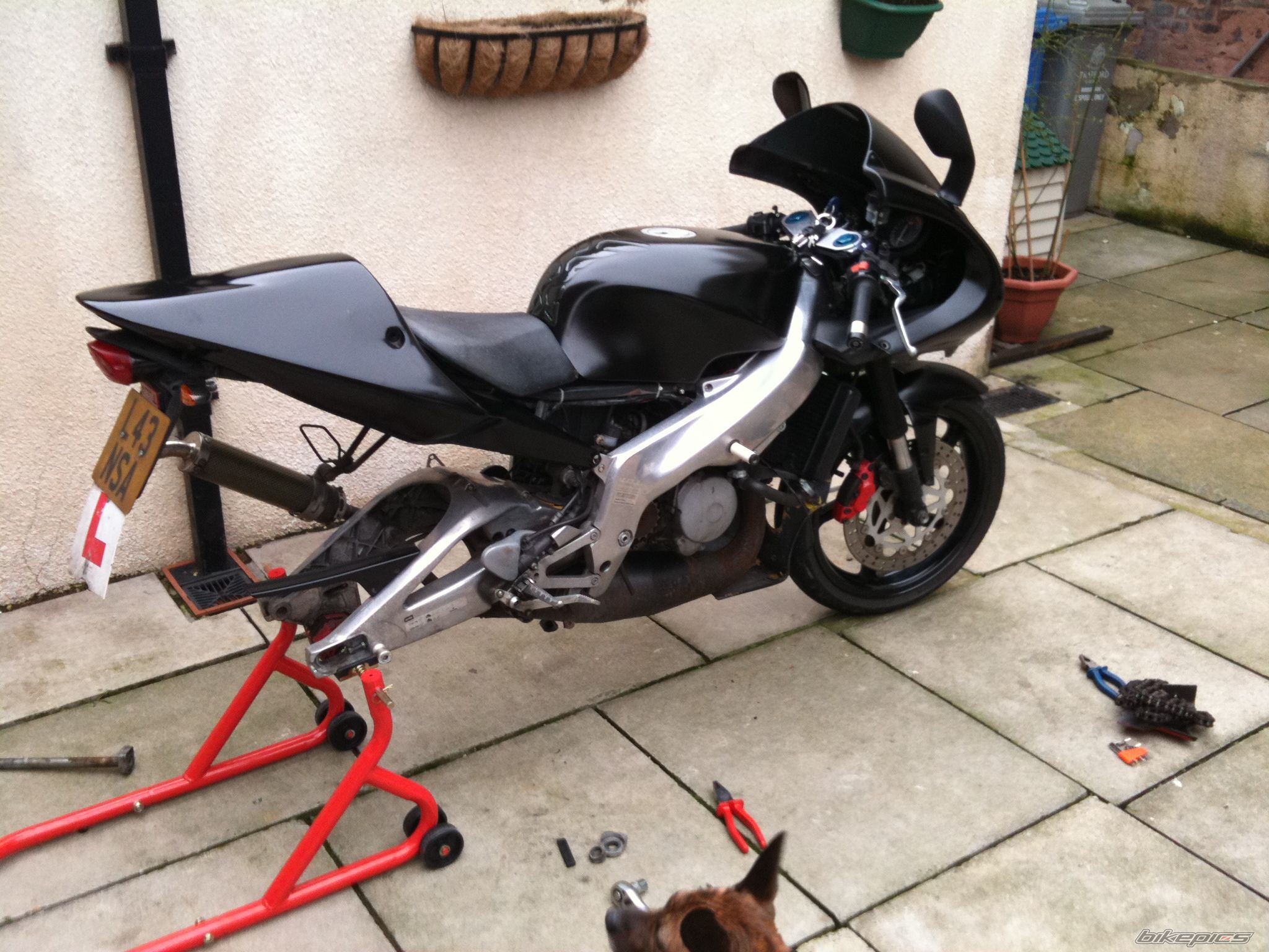 Photo 2172683