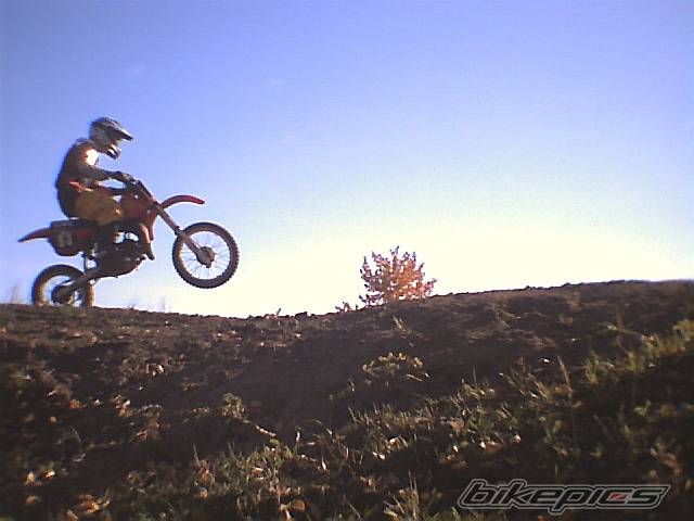 Photo 217272