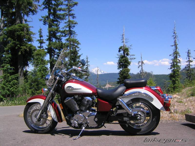 Photo 217294