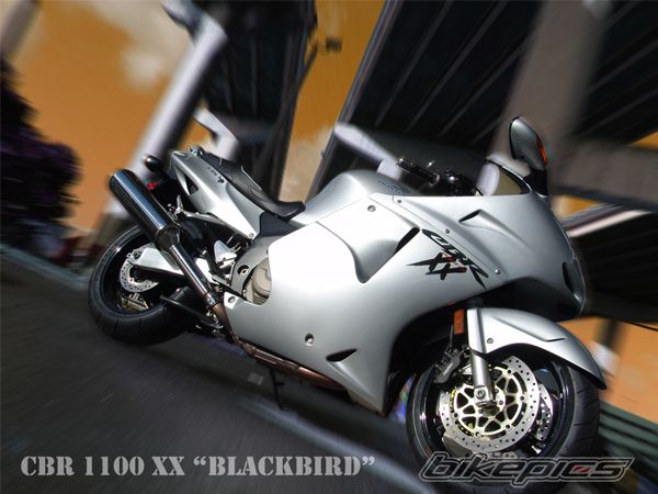 Photo 2173041