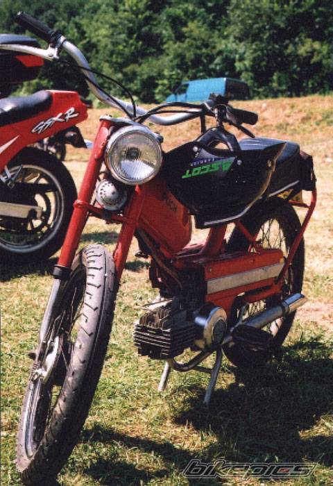 Photo 217308