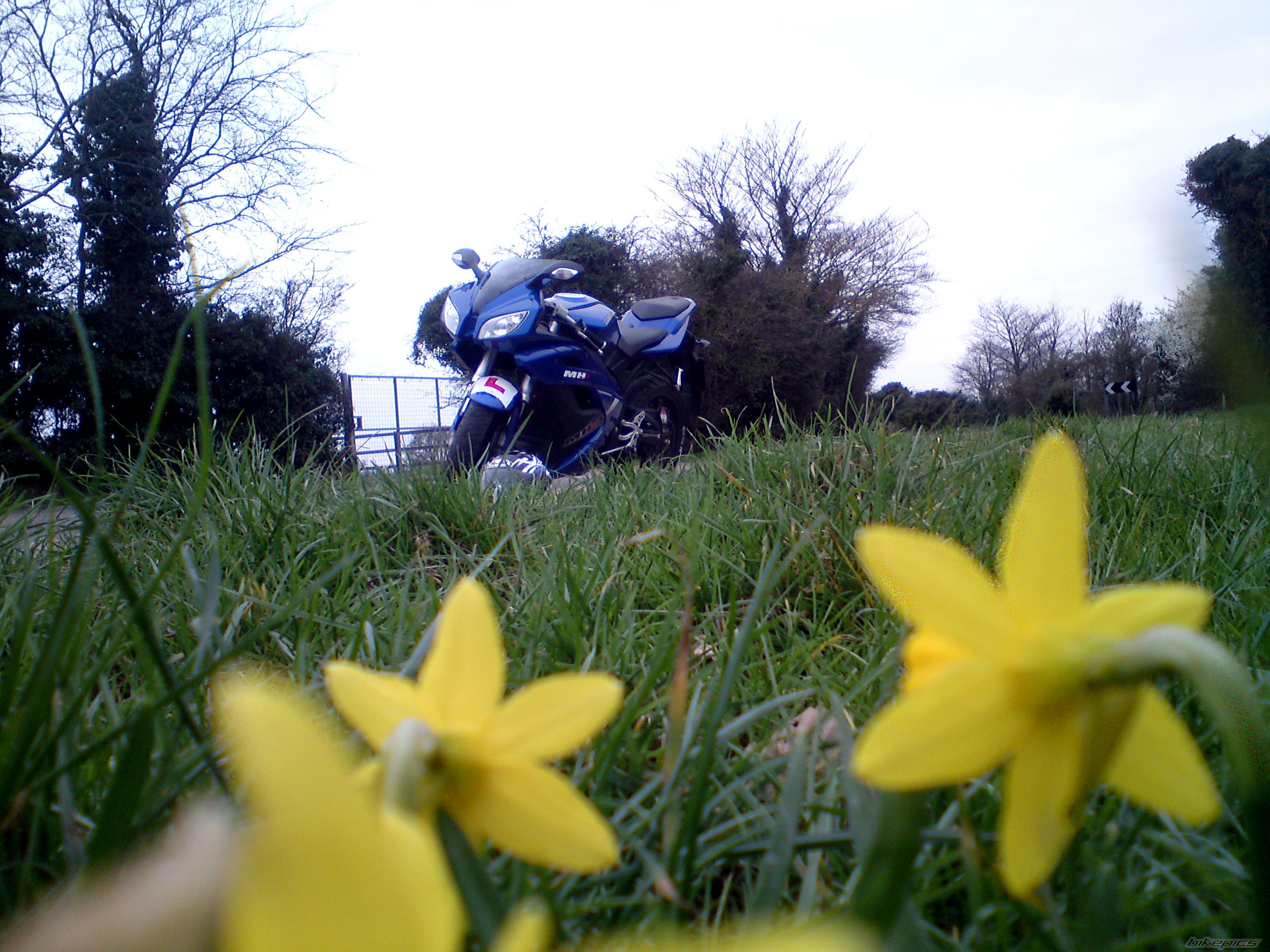 Bike Photo 2173086