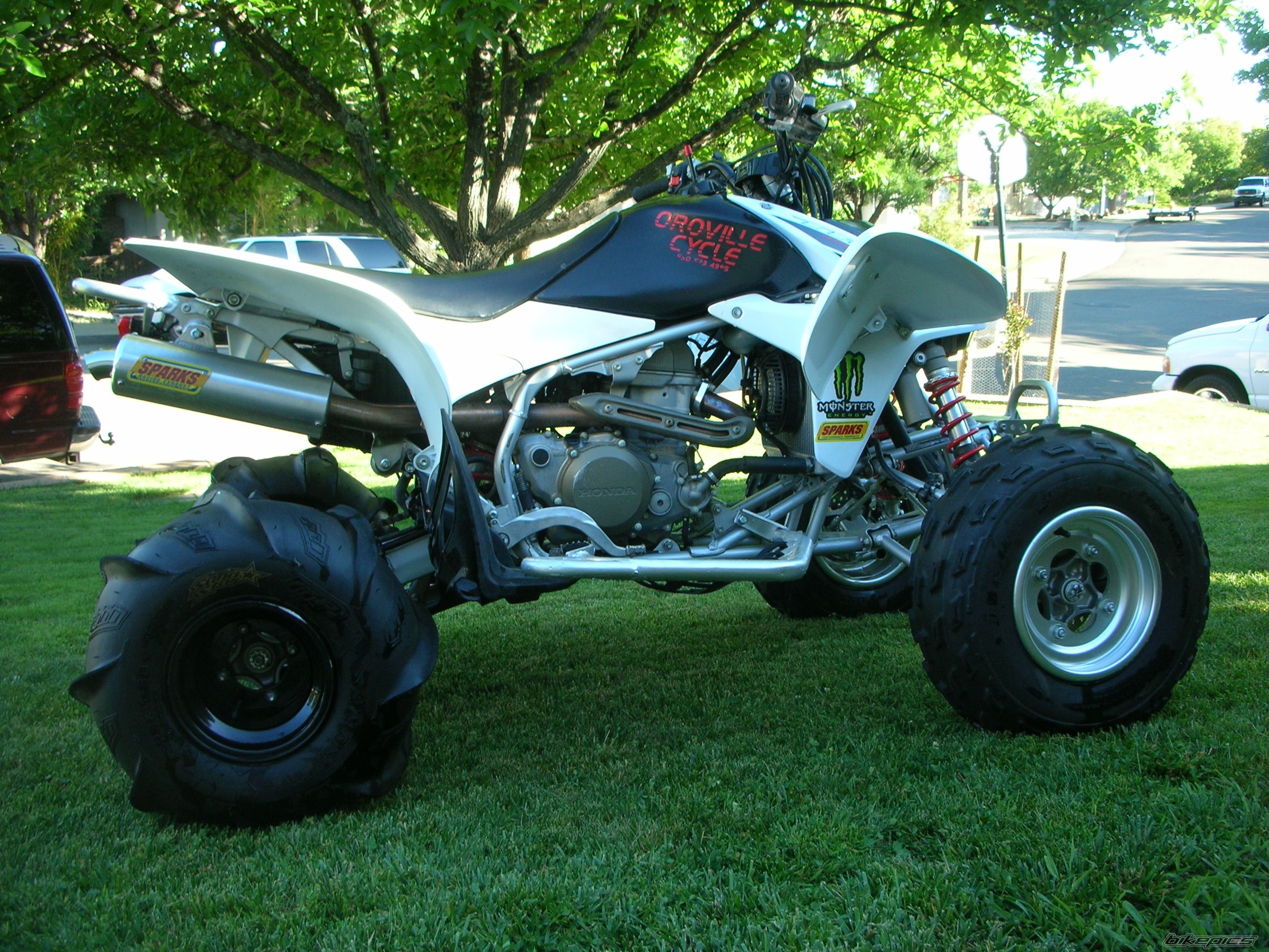 Photo 2173193