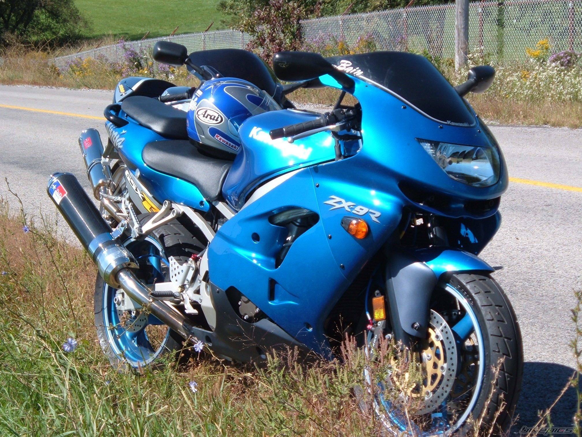 Photo 217322