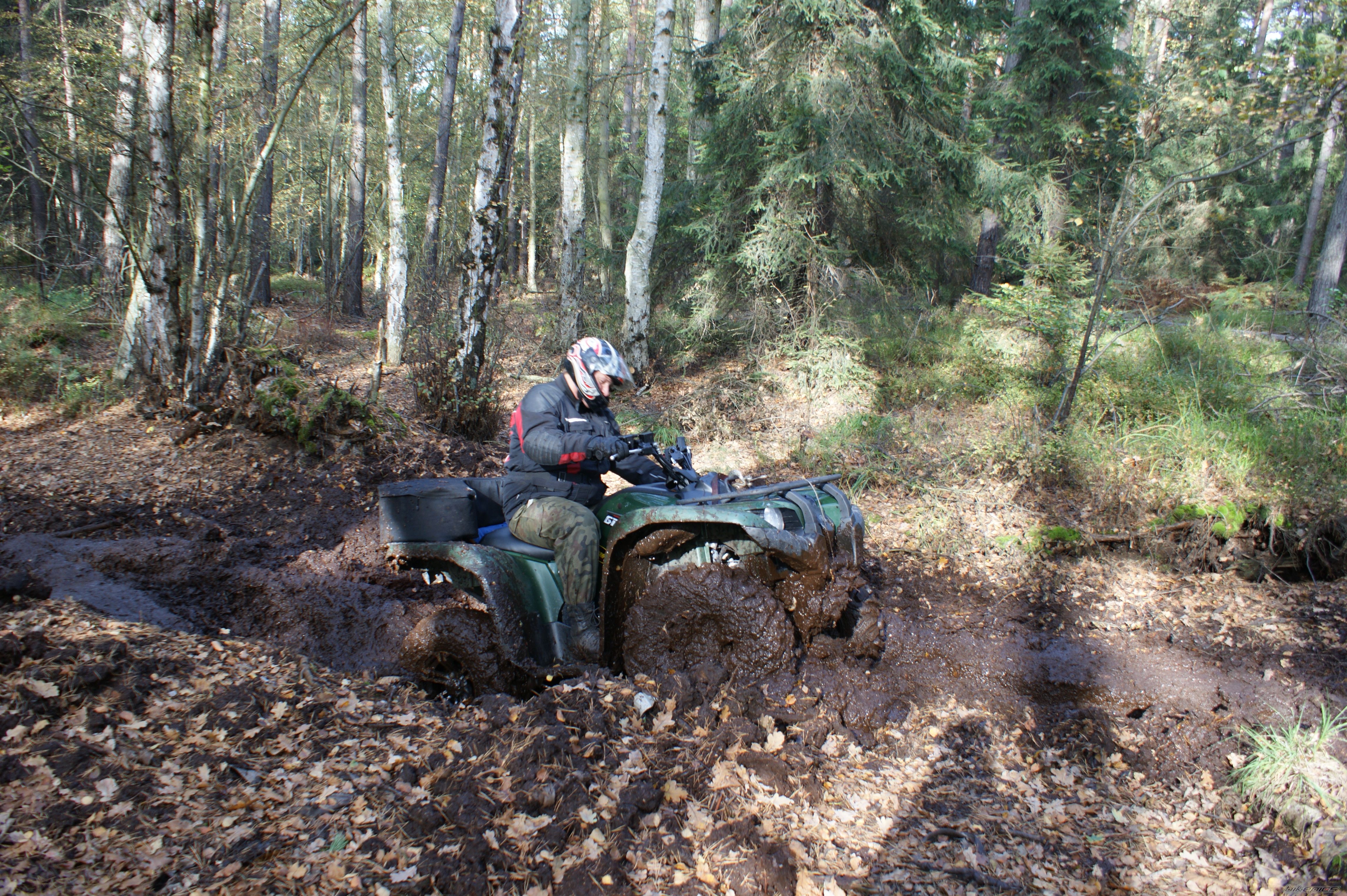 Photo 2173226
