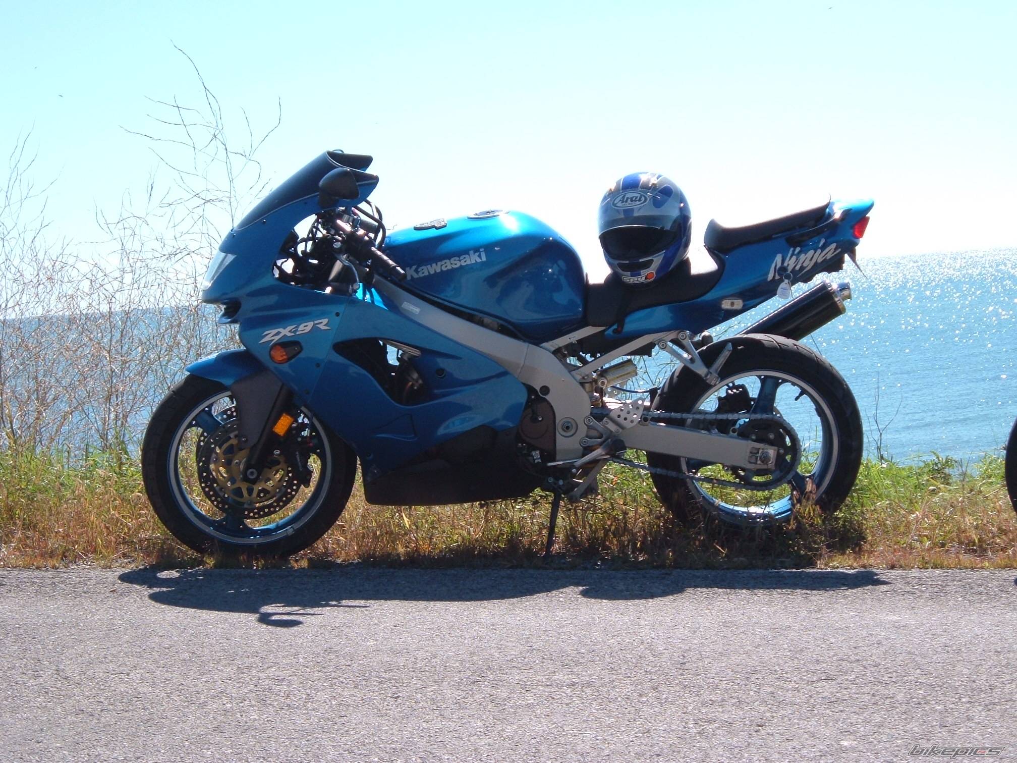 Photo 217323