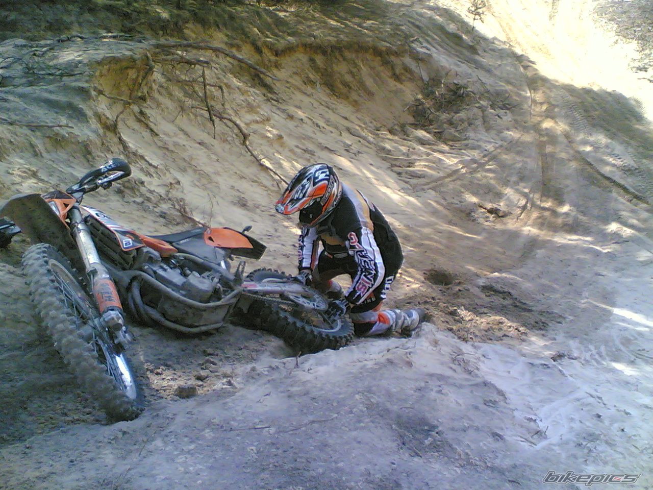 Bike Photo 2173249