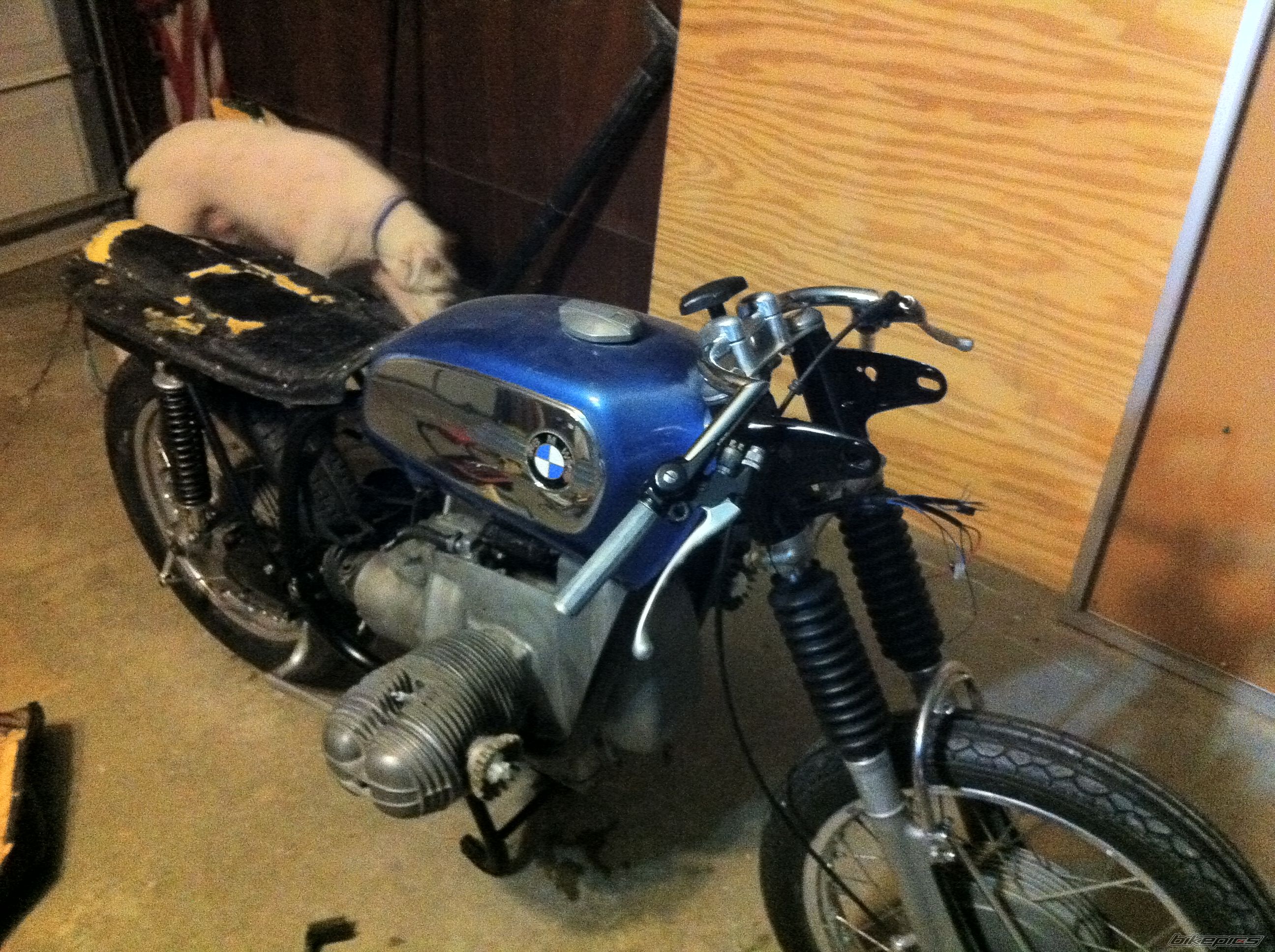 Photo 2173328