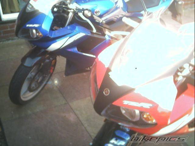 Photo 217333