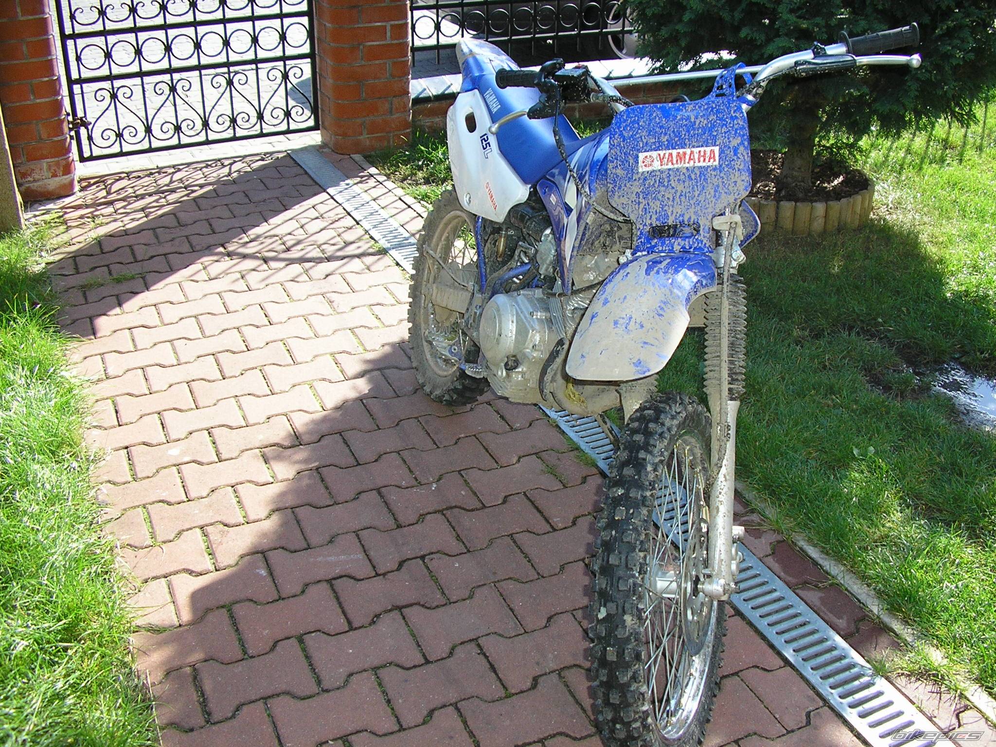 Bike Photo 217352