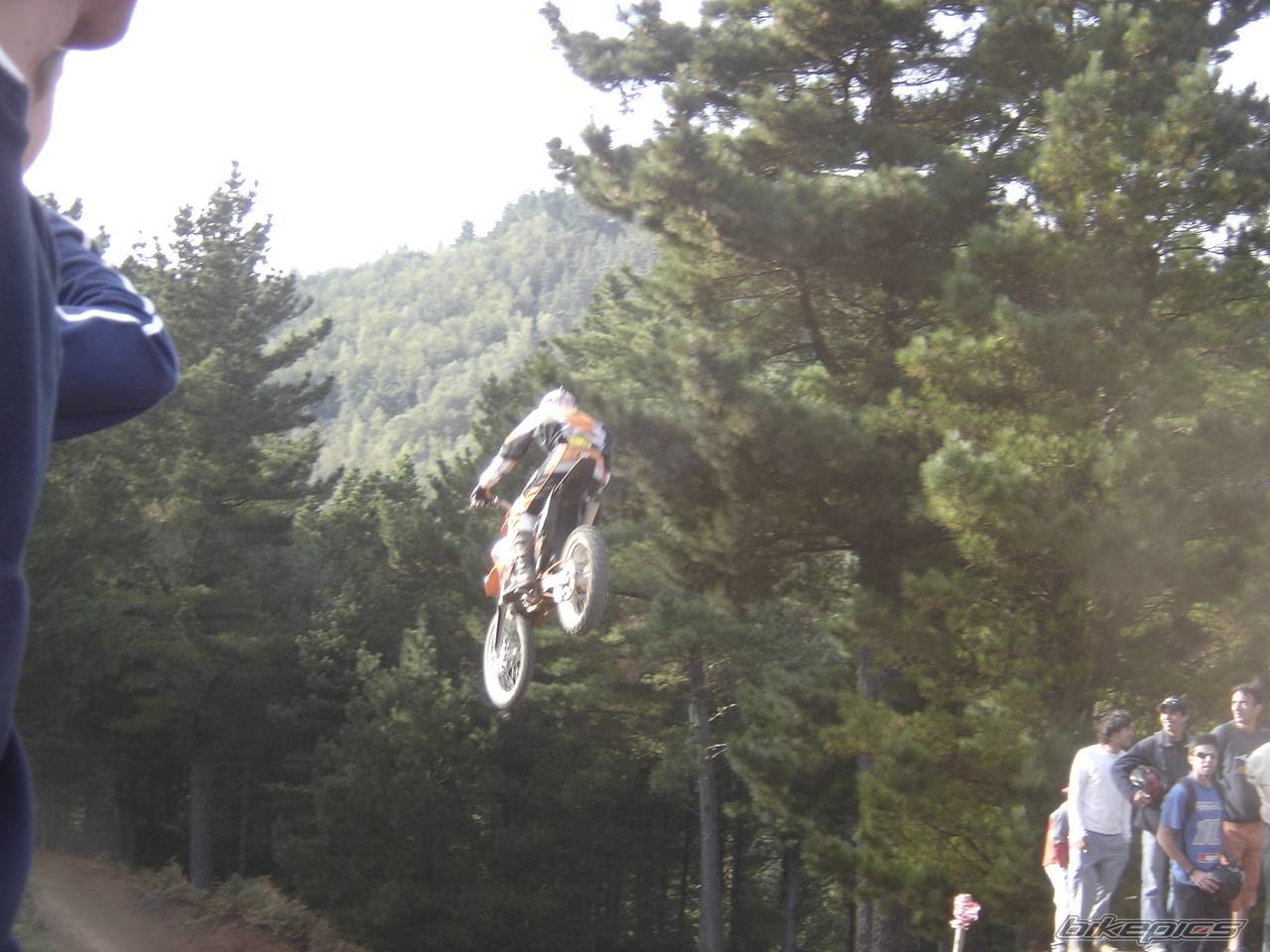 Photo 217353