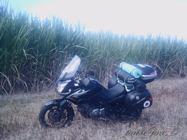 Photo 2173714