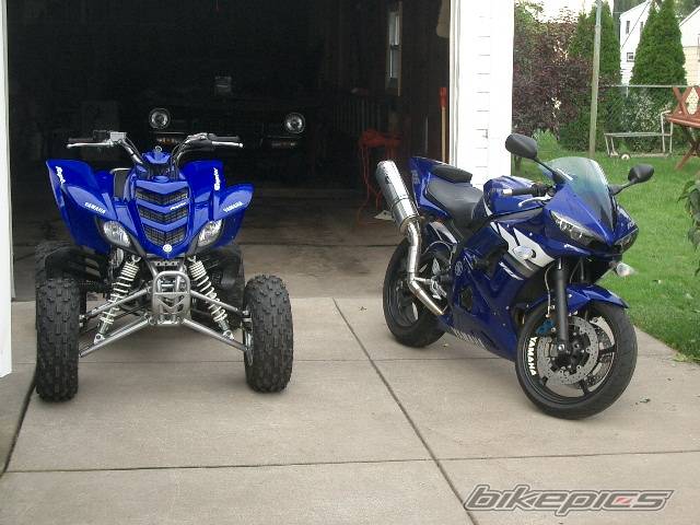 Photo 217372