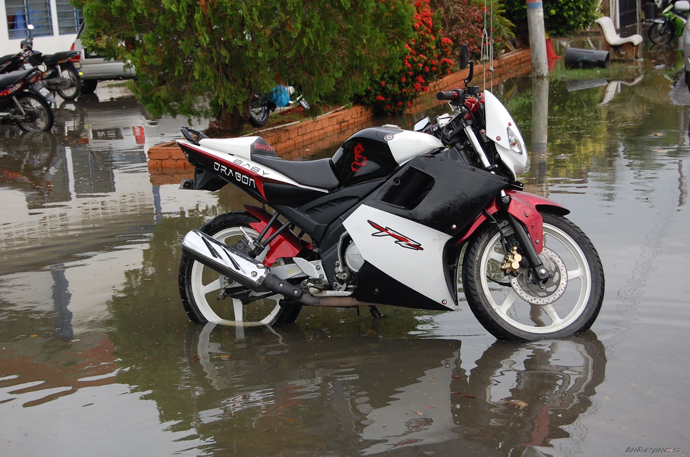 Photo 2173771