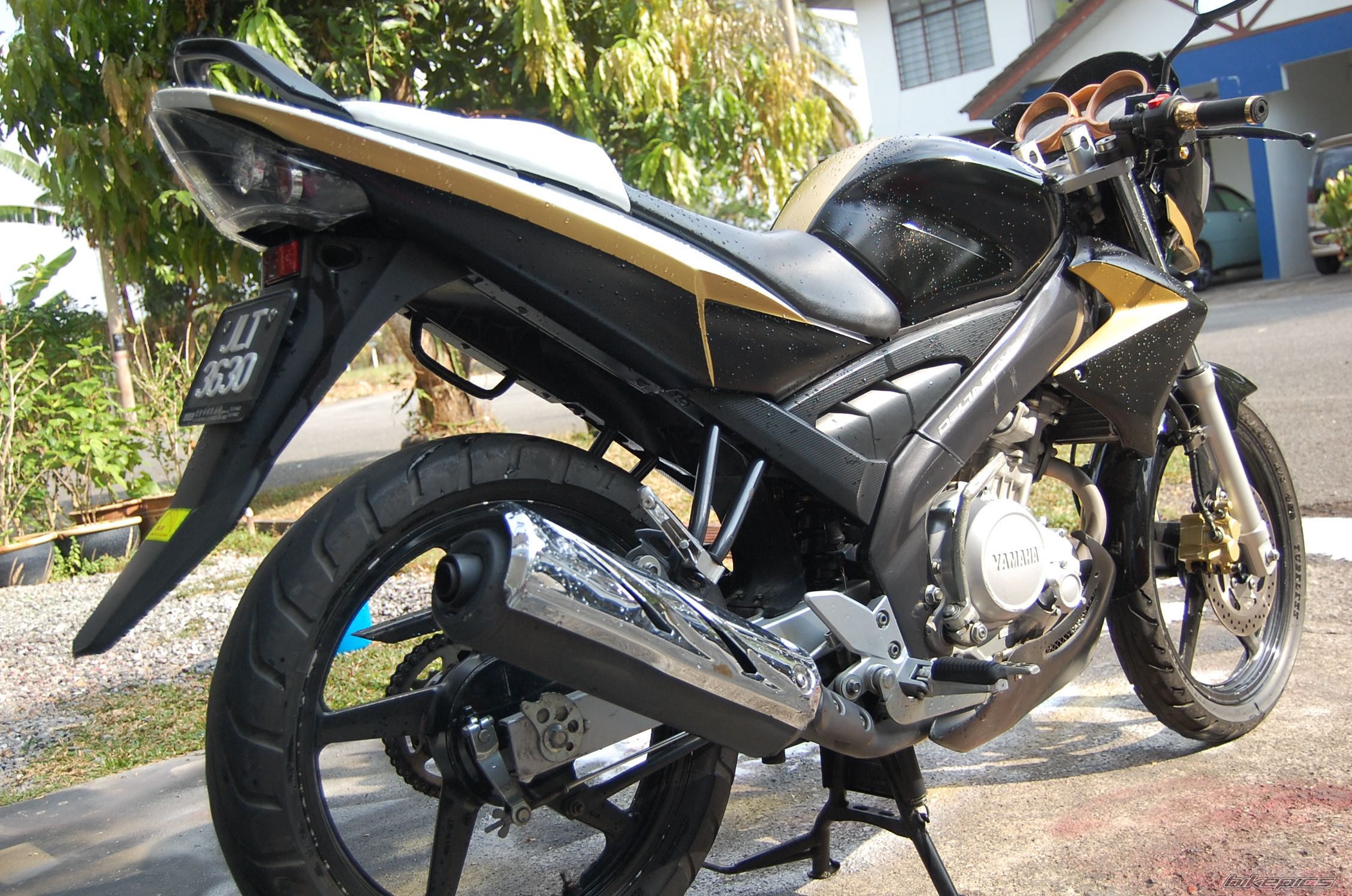 Photo 2173779