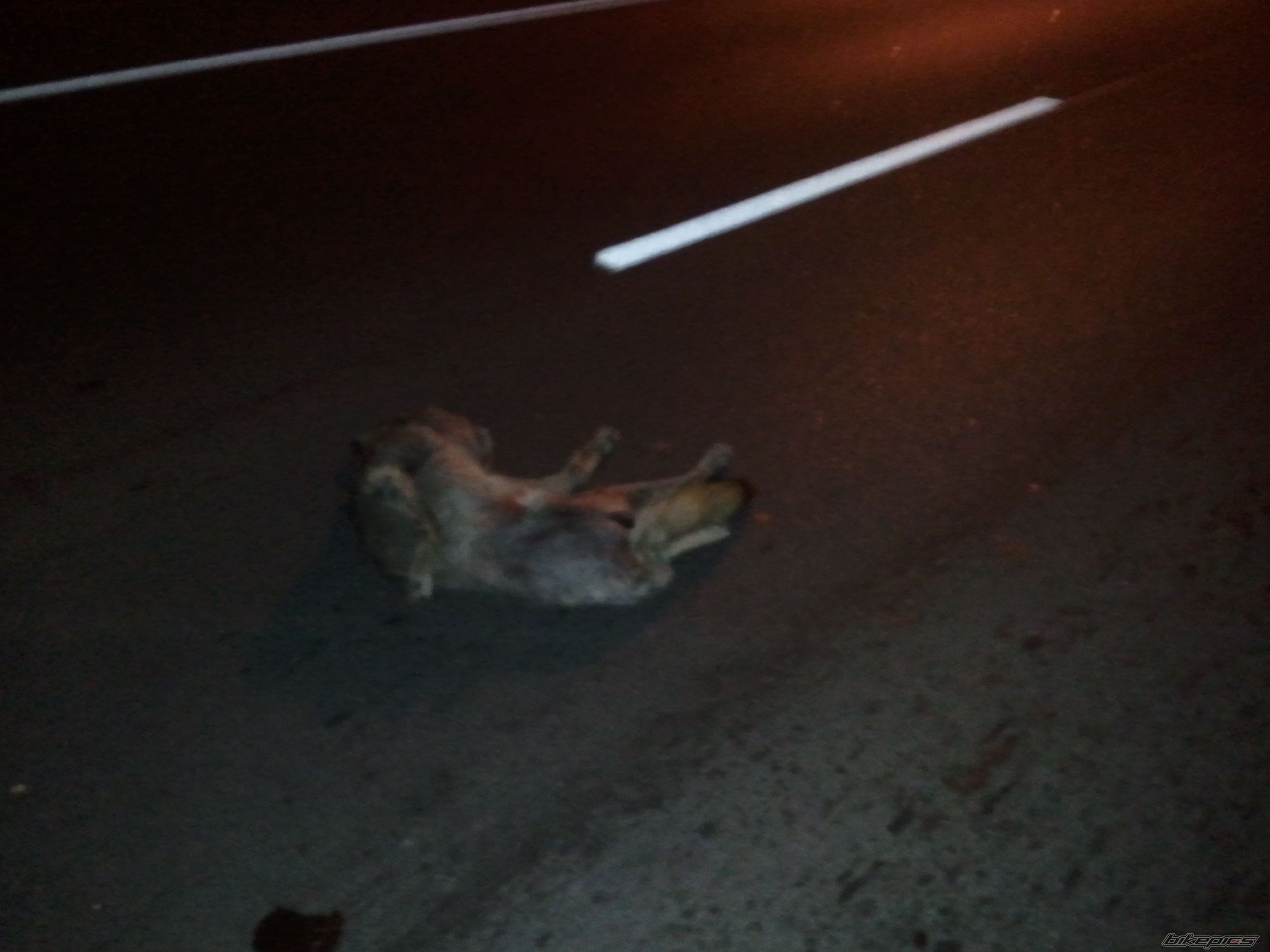Photo 2174175