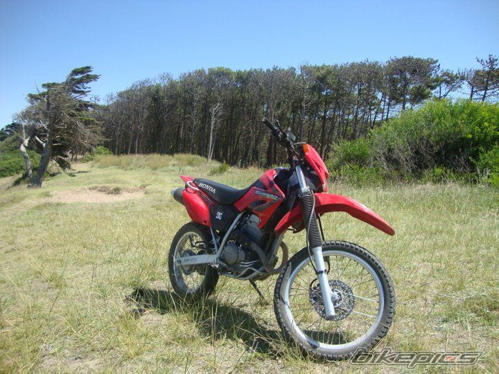 Bike Photo 2174187