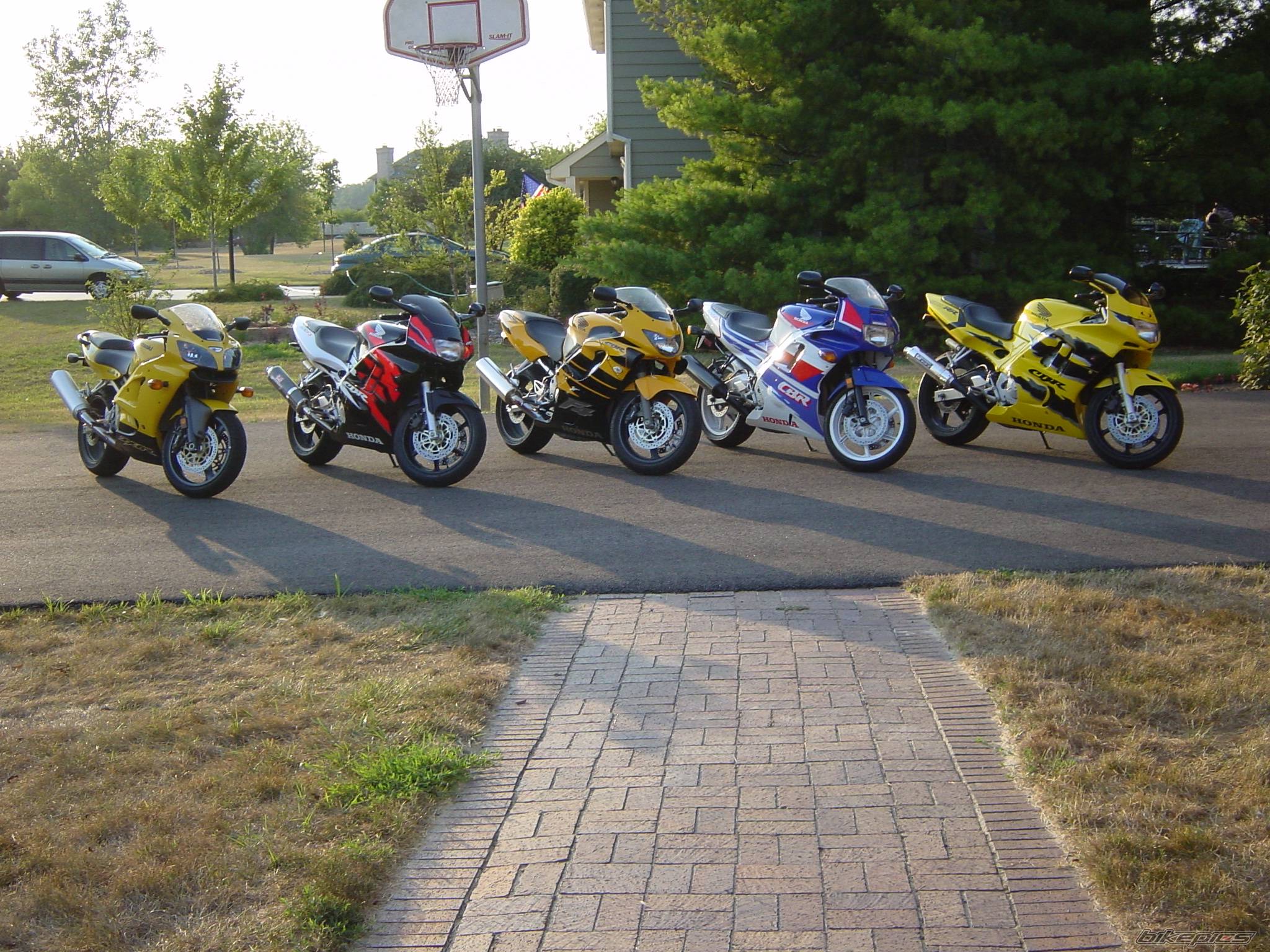 Photo 217438