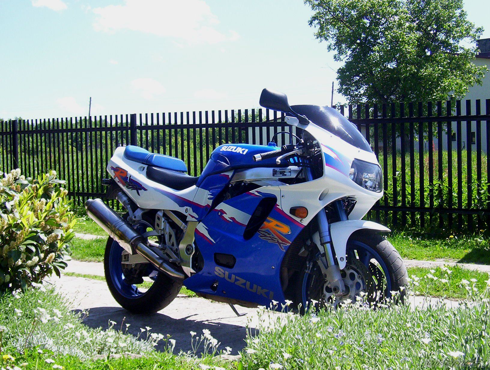 Photo 2174437